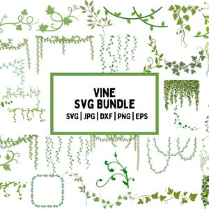 Puede incluir: Colección de diseños SVG de vid verde en varios estilos, incluyendo vides colgantes, diseños de esquina y elementos decorativos. La imagen incluye el texto "VINE SVG BUNDLE" con opciones de tipo de archivo.