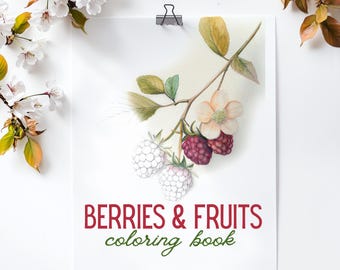 Berries and Fruits Adult Coloring Book | Hand-Drawn Style Sketches | Printable PDF with Coloring Tips | Digital Download