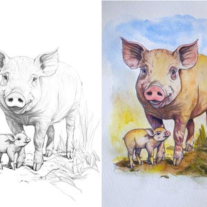 Side-by-side image of a pig and piglet, showcasing an outline for coloring and a colored example for inspiration.