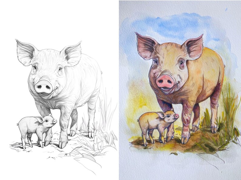 Side-by-side image of a pig and piglet, showcasing an outline for coloring and a colored example for inspiration.