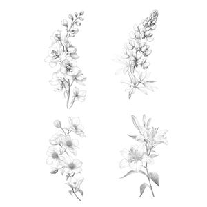 Collage of four uncolored floral illustrations from Summer Blooms digital coloring book | Features Lily, Clematis, Delphinium, and Lupine | Printable grayscale flower sketches for adults to color with watercolor, markers, or pencils