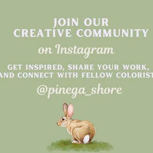 Invitation to join our creative community on Instagram at @pinega_shore, encouraging users to share their work and connect with fellow colorists, featuring an illustration of a hare.