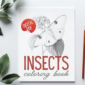 The cover of the "Insects Coloring Book," showcasing a detailed drawing of a moth with leaves, designed for adults.