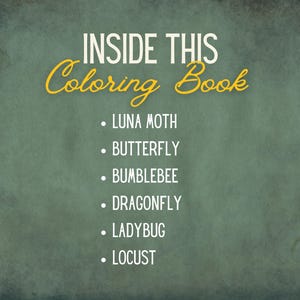 Insect Adult Coloring Book | Digital Download PDF | Hand-Drawn Style Sketches | Botanical-Inspired Art image 7