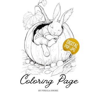 Bunny Sleeping in Pumpkin Patch Coloring Page (Digital PDF & JPG Download)