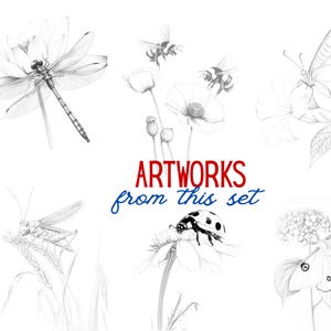 A preview of the full set, featuring six intricately hand-drawn insect illustrations, including a dragonfly, bees, ladybug, butterfly, and more.
