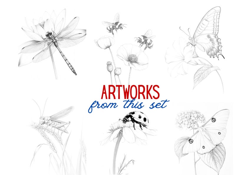 A preview of the full set, featuring six intricately hand-drawn insect illustrations, including a dragonfly, bees, ladybug, butterfly, and more.