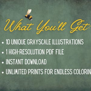 May include: A digital art graphic on a green background with the text "What You'll Get" in yellow script, along with bullet points listing 10 grayscale illustrations, a high-resolution PDF file, instant download, and unlimited prints.