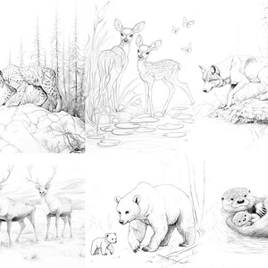 Set of pencil illustrations depicting different wildlife animals including a lynx, deer, wolf, reindeer, bear, and otter in natural settings.