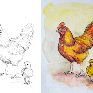 Side-by-side image of a hen and chick, showcasing an outline for coloring and a colored example for inspiration.