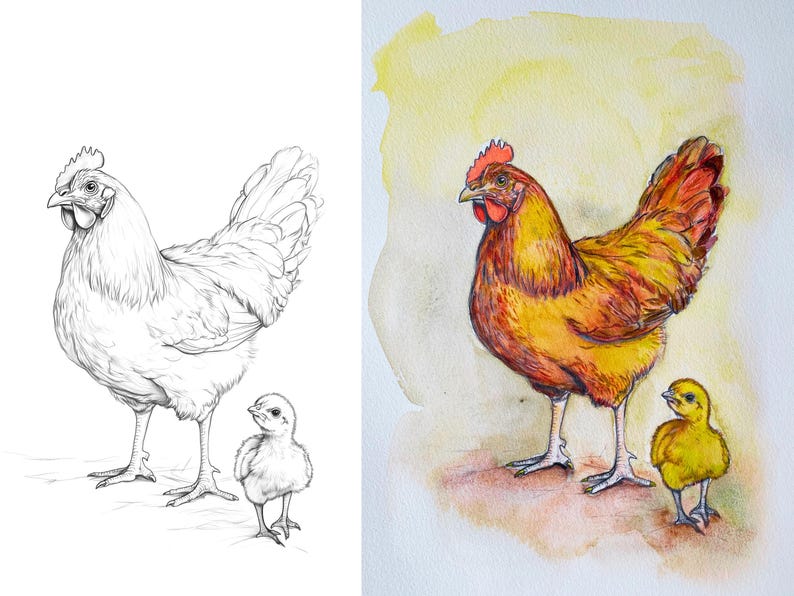 Side-by-side image of a hen and chick, showcasing an outline for coloring and a colored example for inspiration.