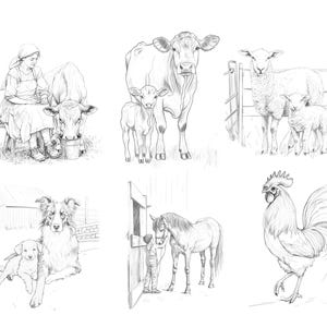 A preview of the full set, featuring six intricately hand-drawn farm animals illustrations, including a cock, sheep, cow, dog, and more.