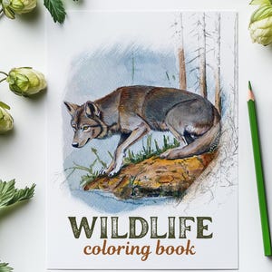 大人のための野生動物の塗り絵 | フィンランドの動物の塗り絵 | リラックスできる自然にインスパイアされたアート | デジタル PDF ダウンロード