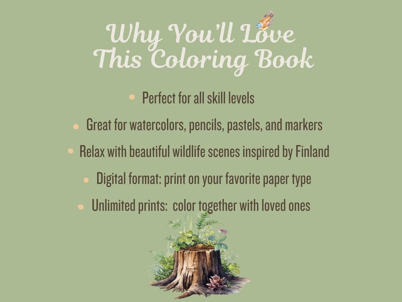 Slide titled Why You'll Love This Coloring Book with points emphasizing features like suitability for all skill levels, compatibility with various art materials, and unlimited print options.