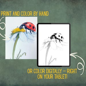 Insect Adult Coloring Book | Digital Download PDF | Hand-Drawn Style Sketches | Botanical-Inspired Art image 6