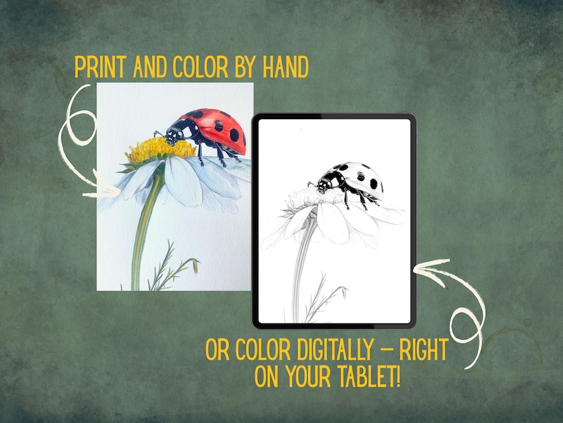 Insect Adult Coloring Book | Digital Download PDF | Hand-Drawn Style Sketches | Botanical-Inspired Art image 6