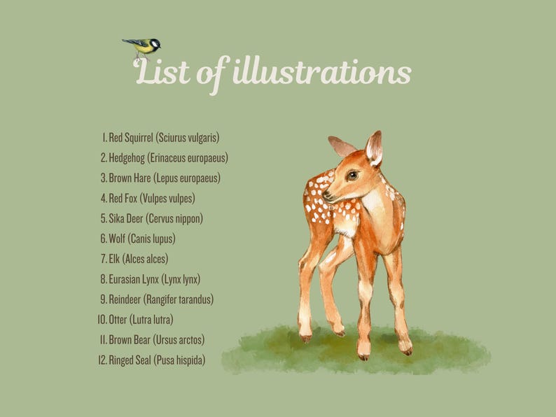 List of illustrations in the Wildlife Coloring Book, with an image of a fawn. The list includes animal names such as Red Squirrel, Hedgehog, Brown Hare, and more.