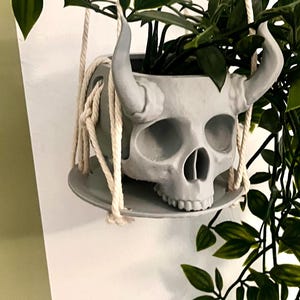 Peut inclure: Un pot de fleurs suspendu en forme de crâne gris avec des cornes incurvées, rempli de plantes vertes à feuilles. Le pot est suspendu par une corde blanche et repose sur une soucoupe grise assortie. Le design est un mélange unique de gothique et de botanique.