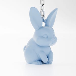 May include: A light blue rabbit keychain with a silver chain.