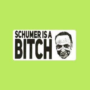 Chuck Schumer Is Bitch Mini Thermal Slap Sticker 2x1