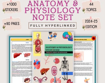Anatomy & Physiology Bundle with Stickers | Anatomy Study Guide | Anatomy Notes | Anatomy Study Bundle | Nursing Notes | Fully Hyperlinked |