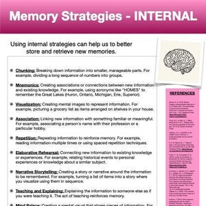 May include: A pink and white educational poster with the title "Memory Strategies - INTERNAL". The poster lists and describes different memory strategies, including chunking, mnemonics, visualization, association, repetition, elaborative rehearsal, narrative storytelling, teaching and explaining, mind palace, and dual coding. A brain illustration is in the upper right corner of the poster.
