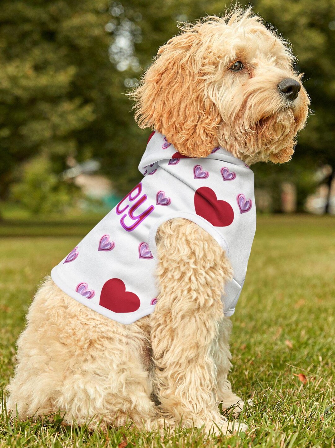 Personalized Valentine Dog Sweater, Cute Heart Pattern Pet Hoodie, Pet