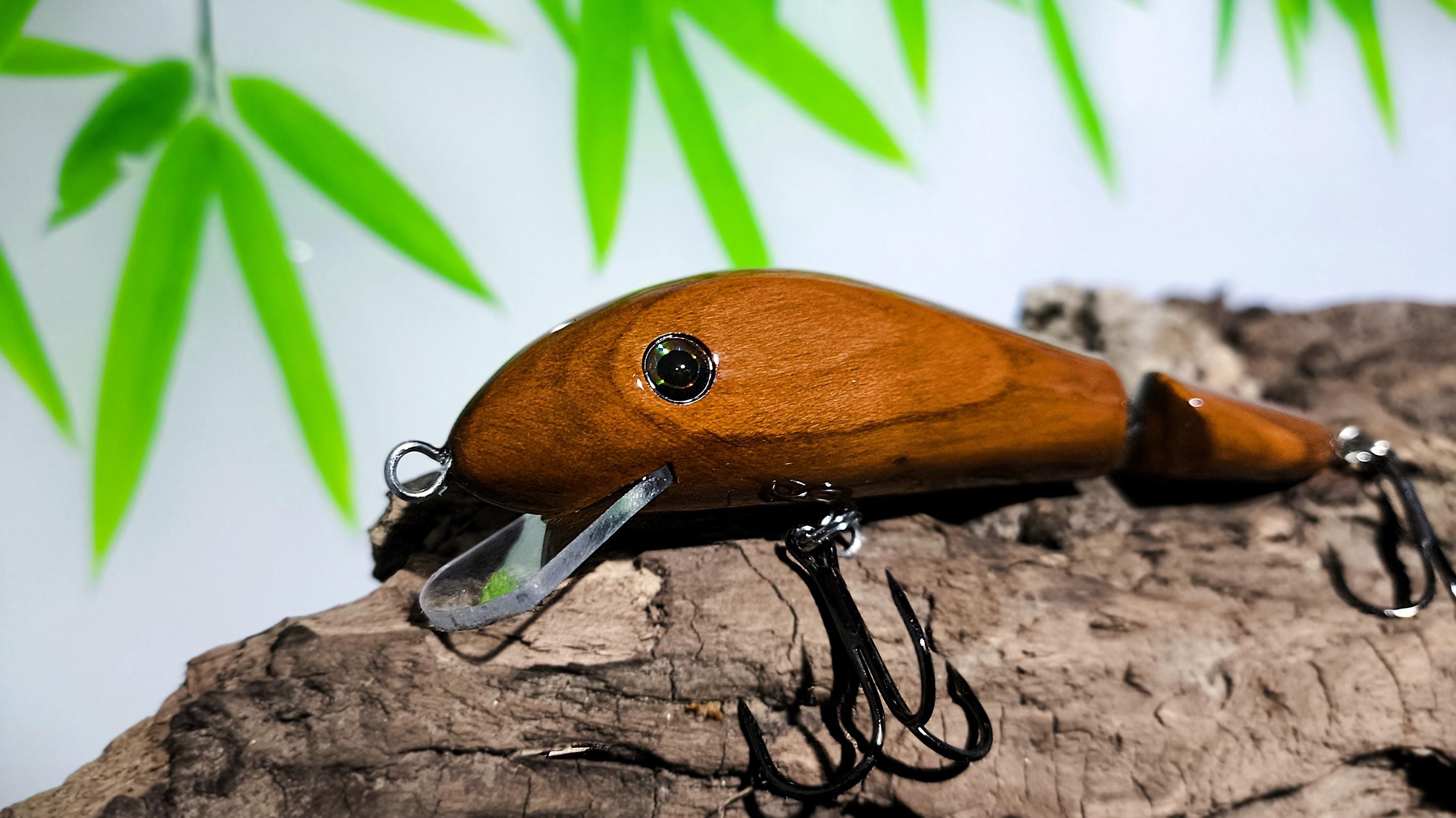 helmets scorpion X CONCRETE COWBOYS GLOSS BLK Bell Cocoon 300 Child gifts for her f24 Color:Dark Baitfish making it fit and