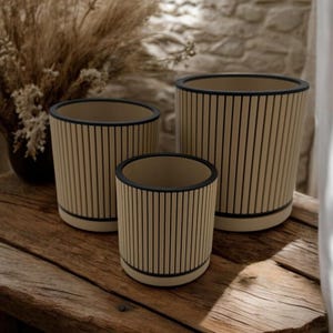 May include: Three beige and black striped ceramic planters of varying sizes. The planters have a cylindrical shape with a black rim and base. They are arranged on a rustic wooden surface, with dried plants in the background.
