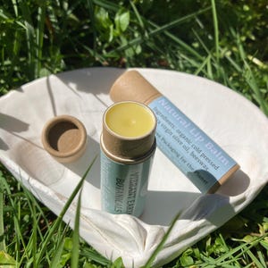 Natural Unscented Olive Lip Balm-- in plastic free, zero waste compostable tube
