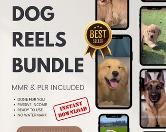 700+ Mega Funny Cute Dog Reels Bundle, Dog Reels, Instagram Reels, Youtube Shorts, TikTok Videos, Viral Videos, Master Resell Rghts MMR PLR