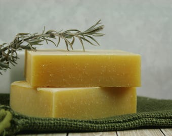 Natural Campers Shampoo - Bug Shampoo - Insect repellent Soap