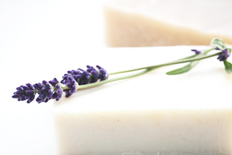 May include: A white bar of soap with a sprig of lavender flowers on top.