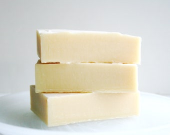 Barra de champú de lavanda y árbol de té: champú natural, barra de champú sin gluten
