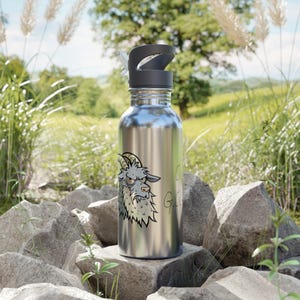 Edelstahl Wasserflasche mit Strohhalm, 20oz | Umweltfreundlicher Reisebecher, Trinkbehälter, Wasserflasche, Geschenk für Sie und Ihn, für Sie und Ihn!
