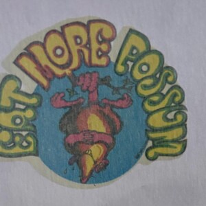 May include: A yellow and green iron-on patch with the text "Eat More Possum" in a whimsical font. A cartoon possum with a red and yellow body is holding a branch in its hands.