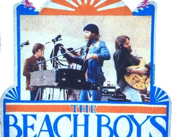 Original Vintage 1974 The Beach Boys Iron On Transfer