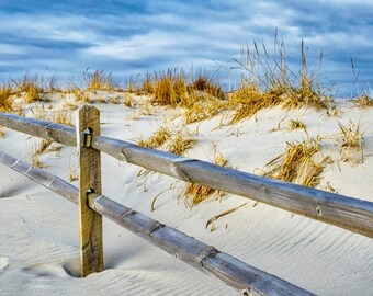 Beach Dunes Landscape Photograph: Coastal Sand and Grasses