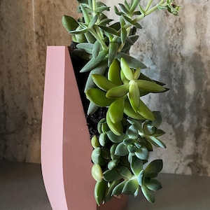 Broken Succulent Pot / Planter | Modern Home Decor Planter | 3D Printed | Perfect Gift for Plant Lovers | Indoor Succulent Pot