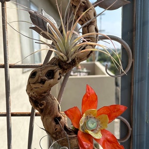 Hummingbird Feeders Hanging
