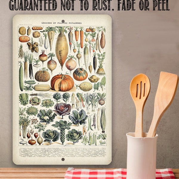 Tin - Metal Sign - Legumes-Durable-8" x 12"/12" x 18" Use Indoor/Outdoor-Decor for Kitchen and Dining Room