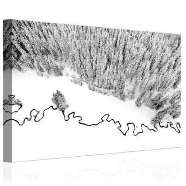 Winter Silence Top View of Trees and Land Area Covered with Snow - Large Landscape Stretched Canvas Art Print - Whites, Greys, and Blacks