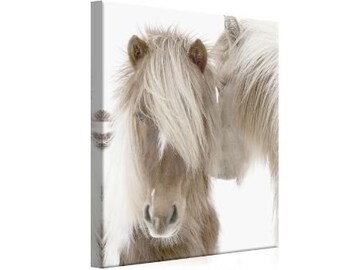 Icelandic Horses - Large Animal Portrait Farmhouse Stretched Canvas Art Print - With Light and Dark Shades of Browns and Yellowish Whites