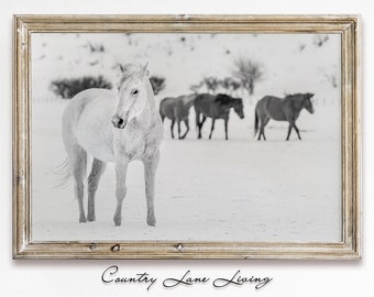 White Horse in the Snow Winter Landscape Image Download - Farmhouse Vintage Decor Art - Print at Home - Printable Instant Downloadable #723