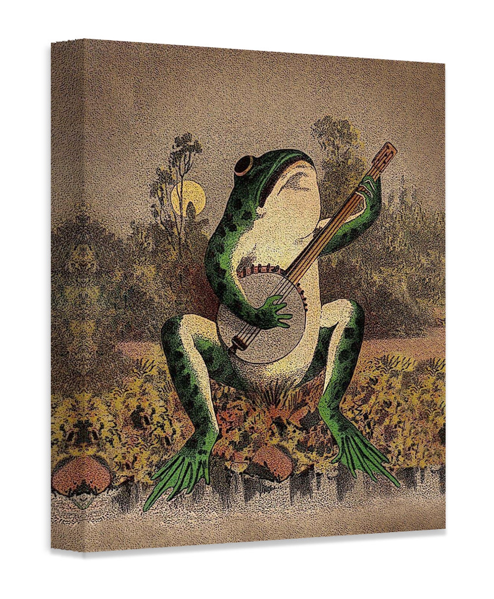 wall hanging of a frog playing a banjo