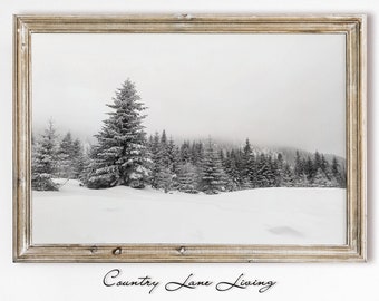 Snow Pine Trees Winter Image Download - Black and White Vintage Rustic Art - Print Home Christmas Printable Instant Downloadable #335