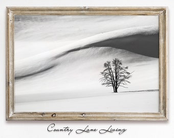 Lone Tree in the Snow Winter Landscape Image Download - Black & White Rustic Art Decor - Print at Home - Printable Instant Downloadable #453