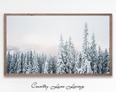Samsung Frame TV Snow Covered Trees - Winter Farmhouse Christmas Image Instant 4k Wallpaper - Black and White Tones Downloadable 649