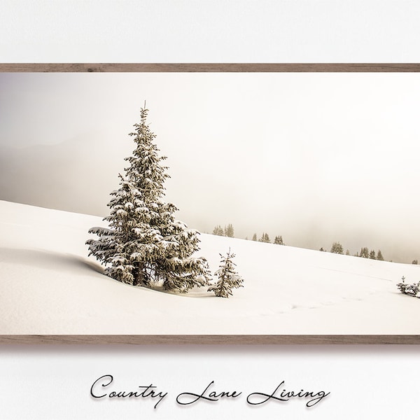 Samsung Frame TV The Perfect Snowy Tree - Winter Farmhouse Christmas Image Instant 4k Wallpaper - Bright White Tones Downloadable #645