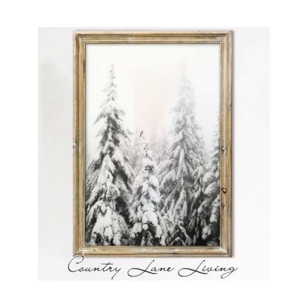 Bird Christmas Tree Topper Winter Image Downloadblack and White